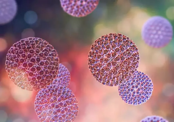 孩子秋季易腹瀉,補鋅?吃益生菌?換腹瀉奶粉?| 一篇全解讀 孩子秋季易腹瀉,補鋅?吃益生菌?換腹瀉奶粉?| 一篇全解讀