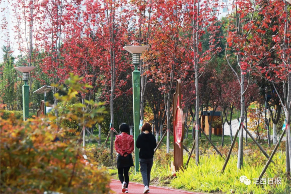 無須遠行！定西湖，人間秋色