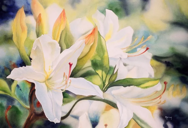 55歲拿起畫筆,成為最懂花的女人!筆下絢爛唯美的水彩花卉太美了 55歲拿起畫筆,成為最懂花的女人!筆下絢爛唯美的水彩花卉太美了