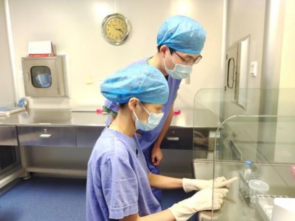 今天是“世界胚胎學家日”，圖文揭秘試管嬰兒的全過程