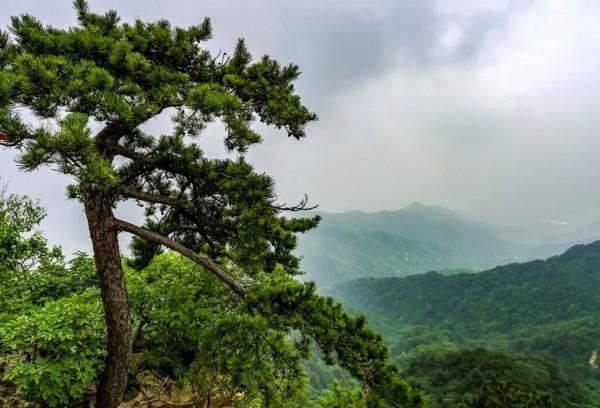 忽然,想去天津了 忽然,想去天津了