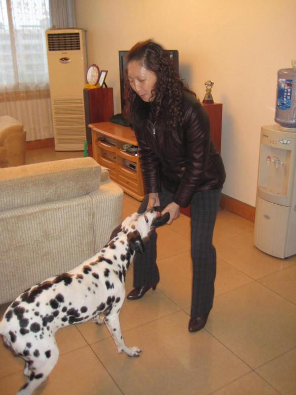 我作為一個非常愛狗的人,為什麼再也不養狗了 我作為一個非常愛狗的人,為什麼再也不養狗了