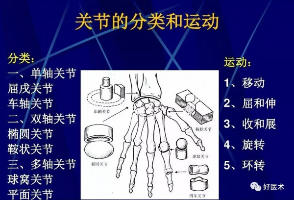 86張全身關節應用解剖精講，這篇文章值得收藏