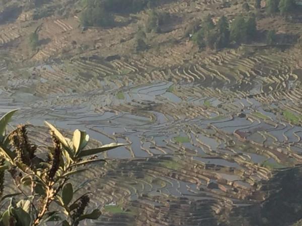 雲南哈尼族撒瑪壩萬畝梯田與蚌頗的傳奇故事