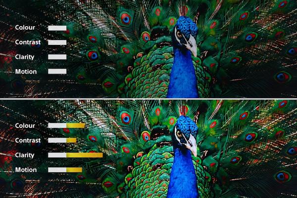 最適合有娃和影視一族的OLED電視Sony65A80J 最適合有娃和影視一族的OLED電視Sony65A80J