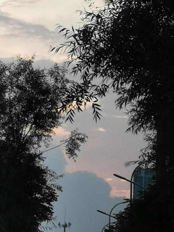 健身打卡的路上