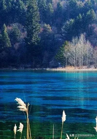 分享——令人迷幻的九寨溝