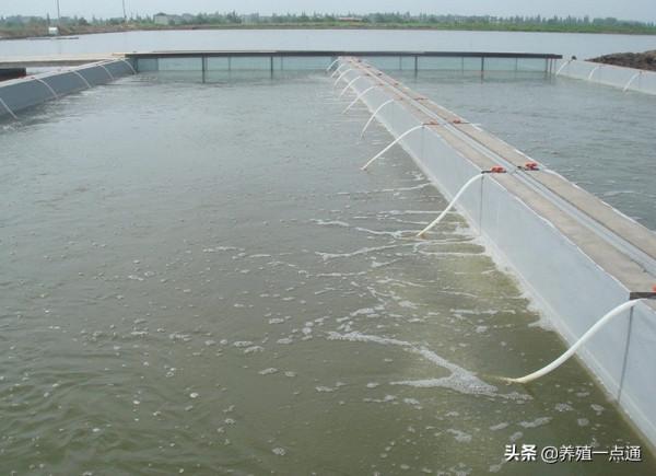 水產養殖調控水質三要素，為魚蝦蟹生長增添動力