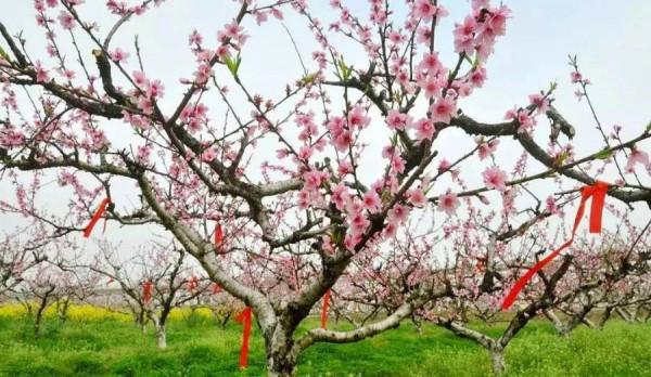 冬至||冬至上墳 冬至||冬至上墳