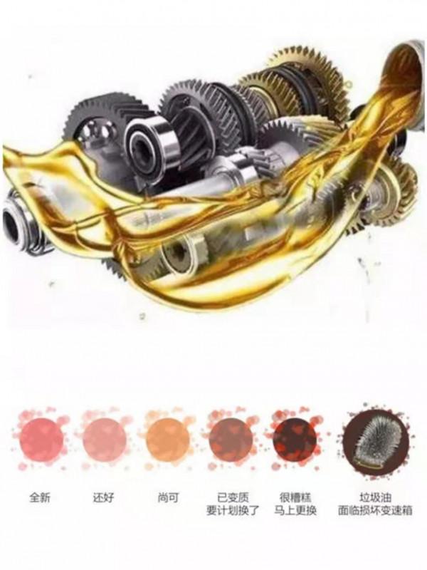 在汽車保養中都存在哪些誤區？怎樣才不會被坑錢？