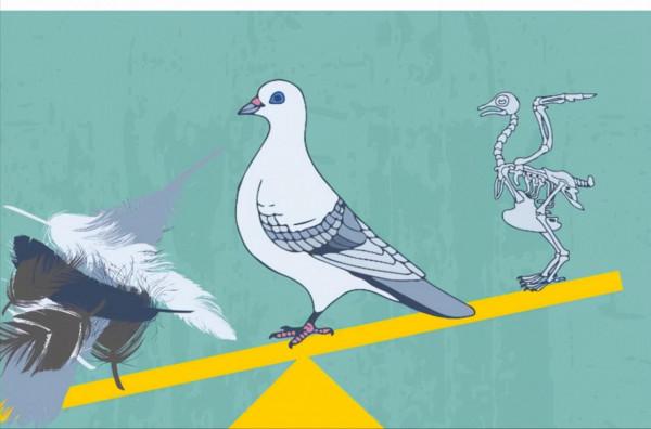 20個關於動物的有趣知識,有些動物居然牽著手睡覺 20個關於動物的有趣知識,有些動物居然牽著手睡覺