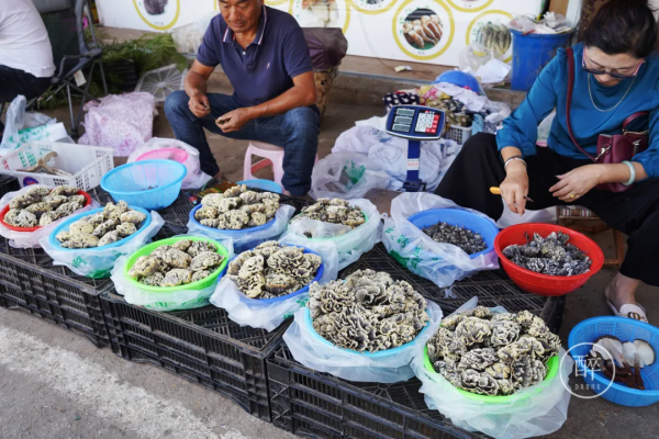 1小時飛攏的城市,有全國最好逛的市場 1小時飛攏的城市,有全國最好逛的市場