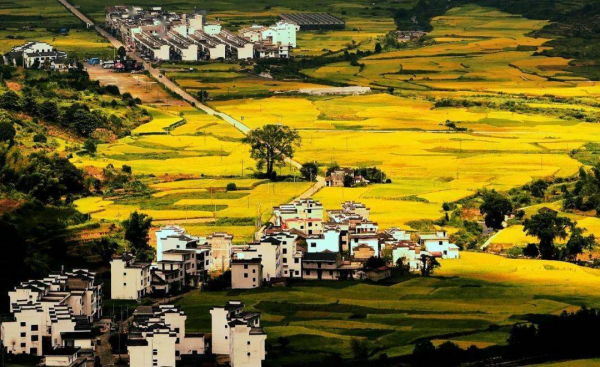 抓住秋季的尾巴,不要留有遺憾,這6個地方美爆了 抓住秋季的尾巴,不要留有遺憾,這6個地方美爆了