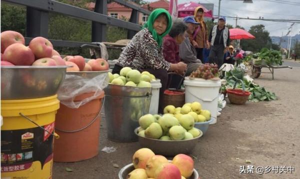 儲存生活必需品!農產品銷量或大幅提升,“豬堅強”會捲土重來? 儲存生活必需品!農產品銷量或大幅提升,“豬堅強”會捲土重來?