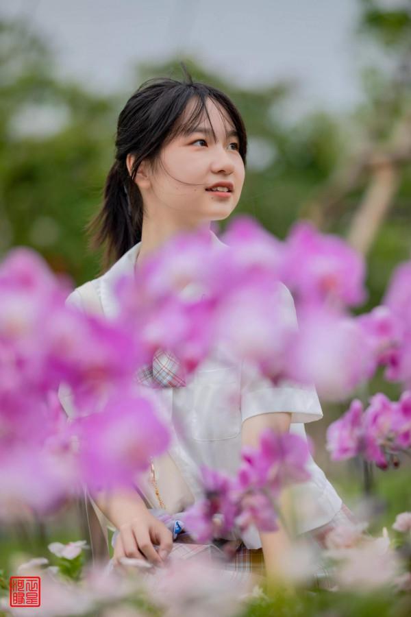 葉綠花紅處處詩——友文薈萃