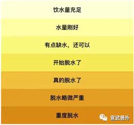 “一天八杯水”，真的適合每個人嗎？