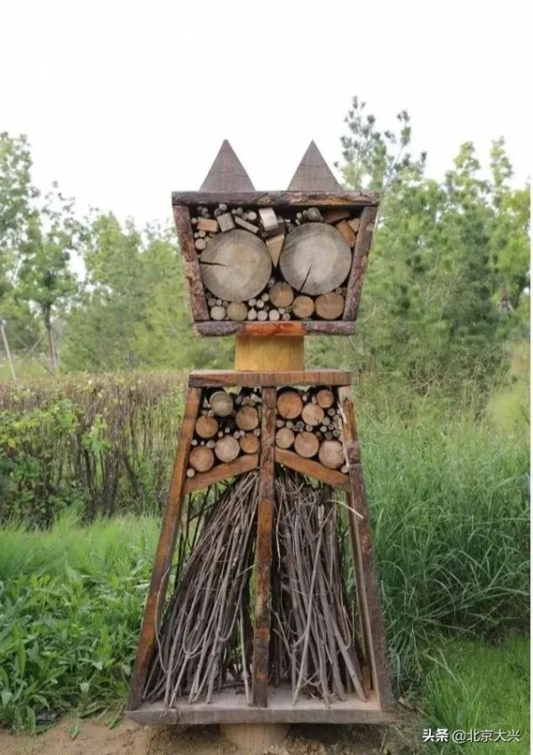 快去看看！大興新晉網紅打卡地，美爆了！