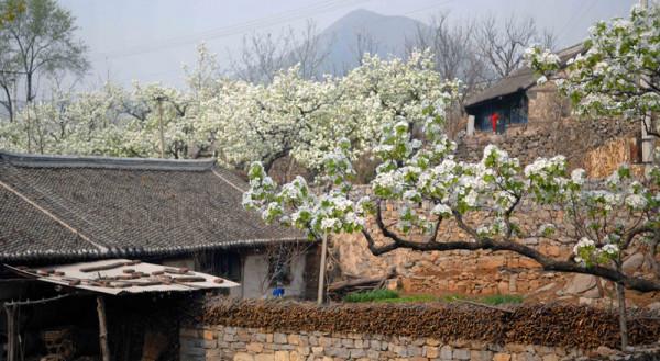 北京平谷深處一景區,天人合一的自然景觀,門票免費適合自駕 北京平谷深處一景區,天人合一的自然景觀,門票免費適合自駕