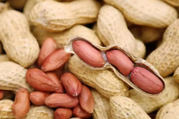 山東一男子堅持吃花生米養胃,半年之後身體會出現什麼樣的變化? 山東一男子堅持吃花生米養胃,半年之後身體會出現什麼樣的變化?