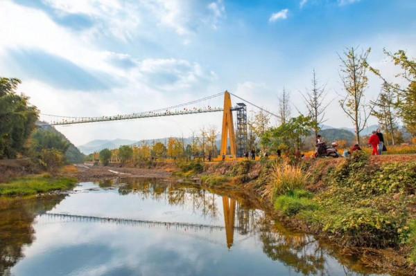 走讀山水長興 | 金秋時節銀杏黃 十里長廊人兒鬧（上）