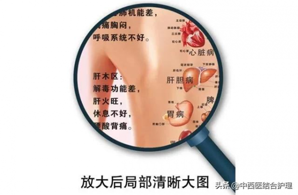 「穴位養生」後背洩露你的&OpenCurlyDoubleQuote;病&rdquo;！背做熱了，五臟六腑舒服了，大病小病也遠離你