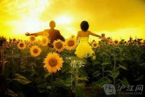 恆星是母,行星是子 恆星是母,行星是子