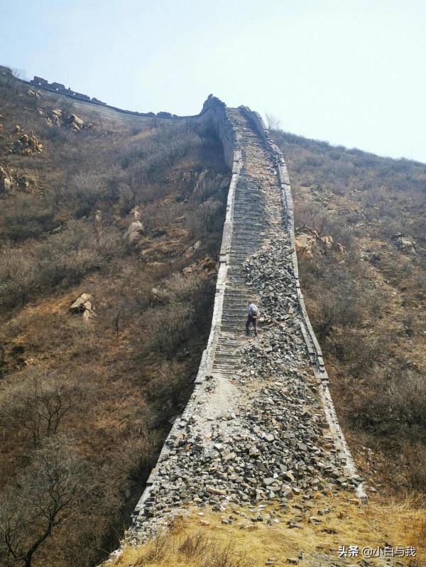 春回古長城，夢在杏花海。望殘垣斷壁，聽虎嘯聲威