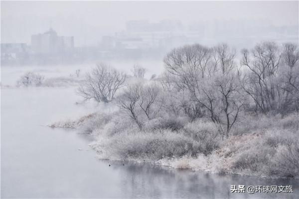 韓國江原道霧凇綻放美不勝收 韓國江原道霧凇綻放美不勝收