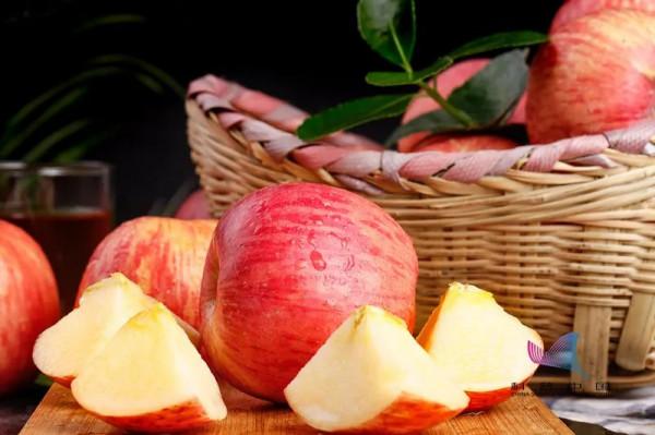 早上金蘋果，晚上毒蘋果？一日一蘋果，醫生遠離我？關於蘋果的真相