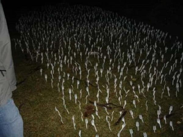 有些照片看似普通,卻讓人感到恐懼 有些照片看似普通,卻讓人感到恐懼