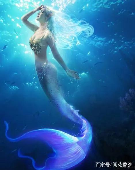 十二星座的守護星,星座花,花語,快來看看你的是什麼吧 十二星座的守護星,星座花,花語,快來看看你的是什麼吧