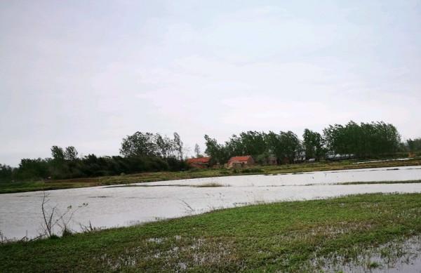 安徽一男子釣獲“水老虎”，嫌太小想放掉，遭老大爺一頓臭罵