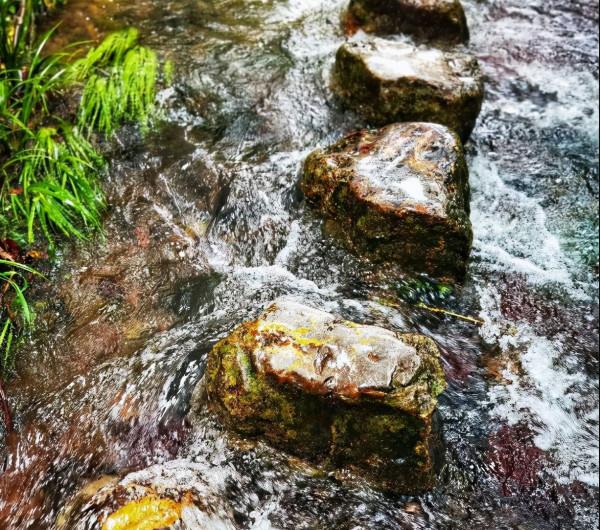 杭州中秋國慶旅遊哪裡好玩？八個旅遊勝地，家庭情侶皆適合