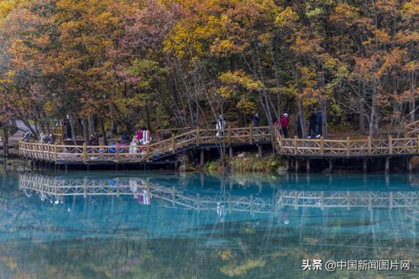 四川九寨溝進入最佳觀賞季