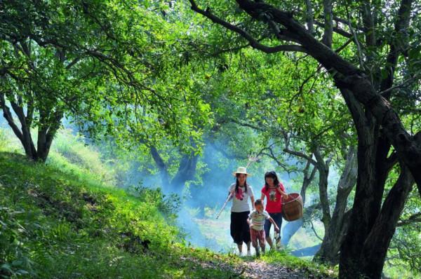 11月，看湖北，疊翠流金！