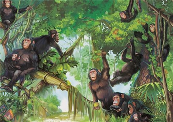 人都是女性生的，在人類出現前，世界上第一個女性是從哪裡來的？