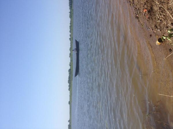 我本來想著搶在洪峰前釣釣魚，沒成想差點沒走出來……