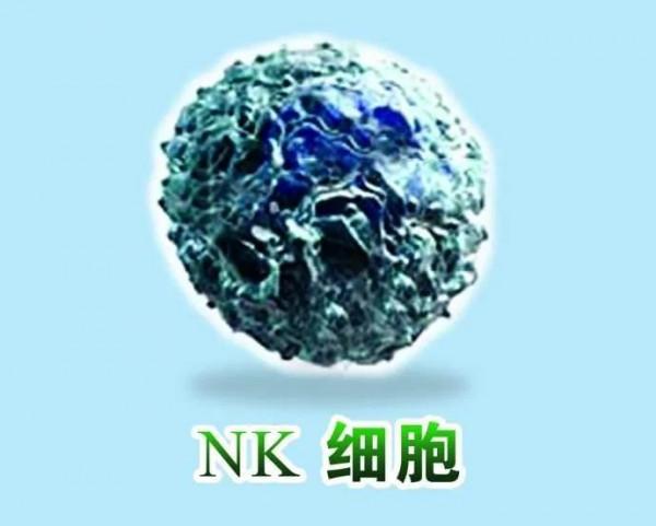 學習強國生物類（有絲分裂/線粒體/細胞膜）題目區分技巧，學起來