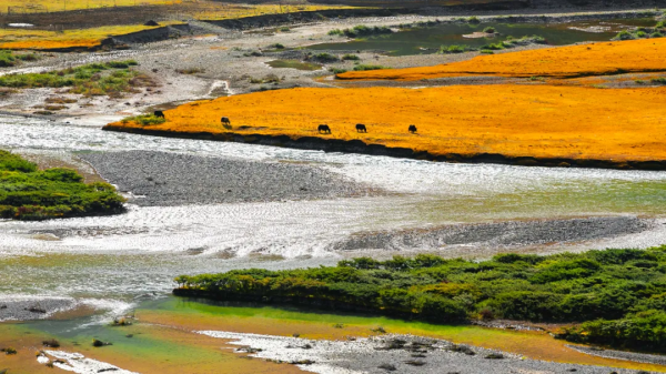青海的這個地方要火了,秋天一定要去一次,中國最後的一片淨土 青海的這個地方要火了,秋天一定要去一次,中國最後的一片淨土