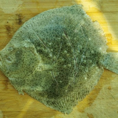 第一次嘗試清蒸多寶魚,沒想到這麼好吃 第一次嘗試清蒸多寶魚,沒想到這麼好吃