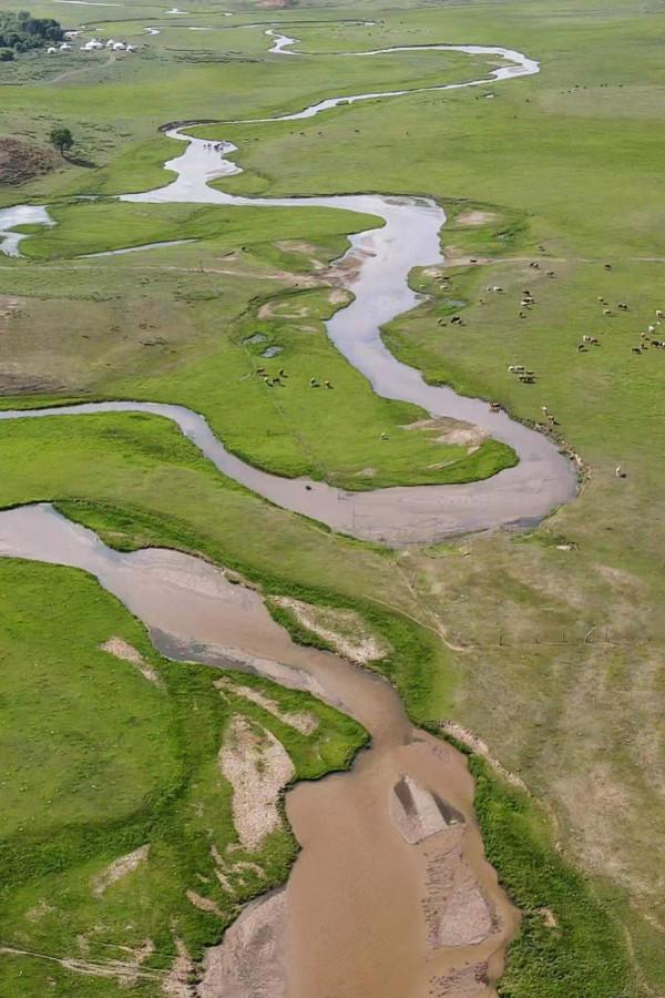 美妙夏日，世界四大草原之一，最好吃的羊肉，錫林郭勒自駕攻略