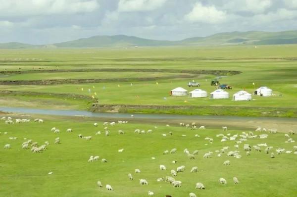 分享：內蒙大草原，一望無垠，沃野千里，萬馬奔騰，壯觀