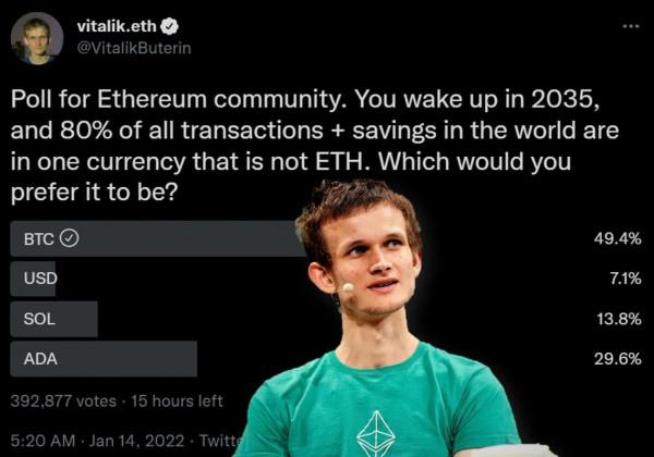 在2035年醒來，你希望世界主流是哪款幣？