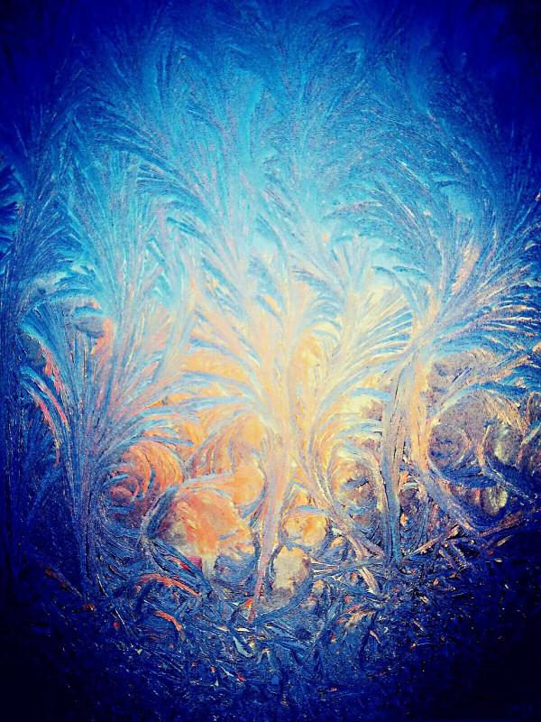 盛開在冬日窗欞上的冰窗花