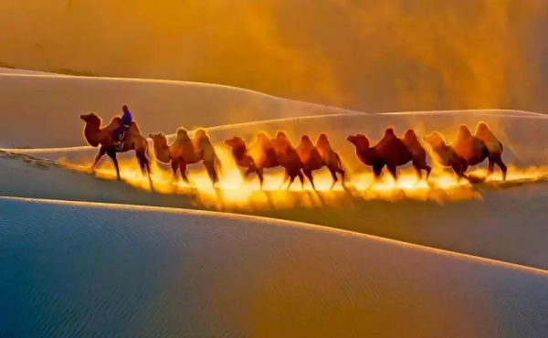 國內這10個絕美的旅行地，去過5個就是旅行達人，你去過幾個呢？