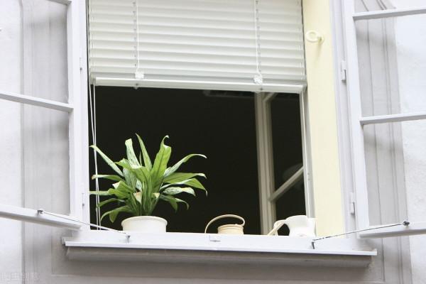 呼吸道疾病進入高發期,如何做好預防?專家:應科學安排衣食住行 呼吸道疾病進入高發期,如何做好預防?專家:應科學安排衣食住行