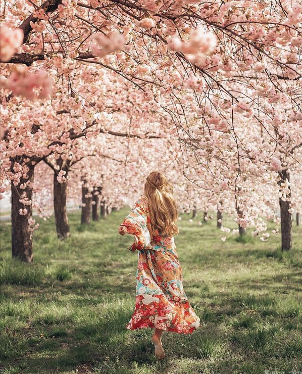 我去旅行，不是因為我有錢