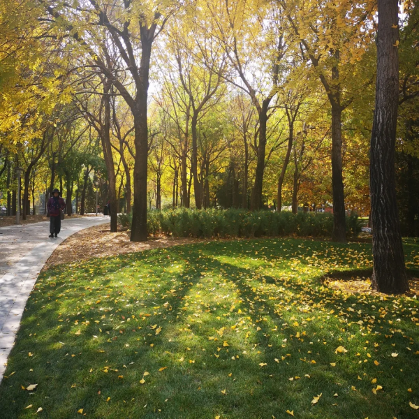 朝陽遊園推薦：北小河公園