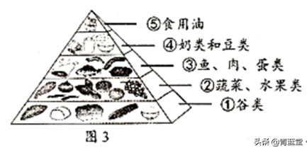 2021年吉林省中考生物真題