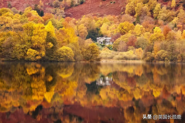 你還記得深秋英國的樣子嗎?若你還在,與你共享 你還記得深秋英國的樣子嗎?若你還在,與你共享